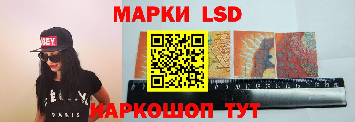 ЛСД экстази кислота  hydra ссылки  Лсд 25 экстази кислота  Будённовск  Вход с VPN  ЛСД экстази 