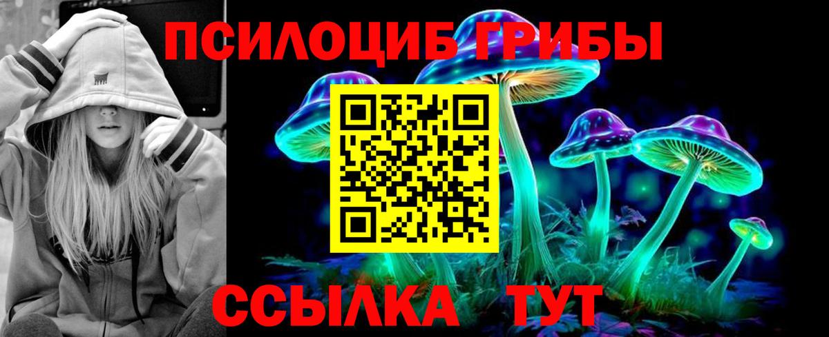 Будённовск  Галлюциногенные грибы MAGIC MUSHROOMS  Галлюциногенные грибы ЛСД  Вход с VPN 